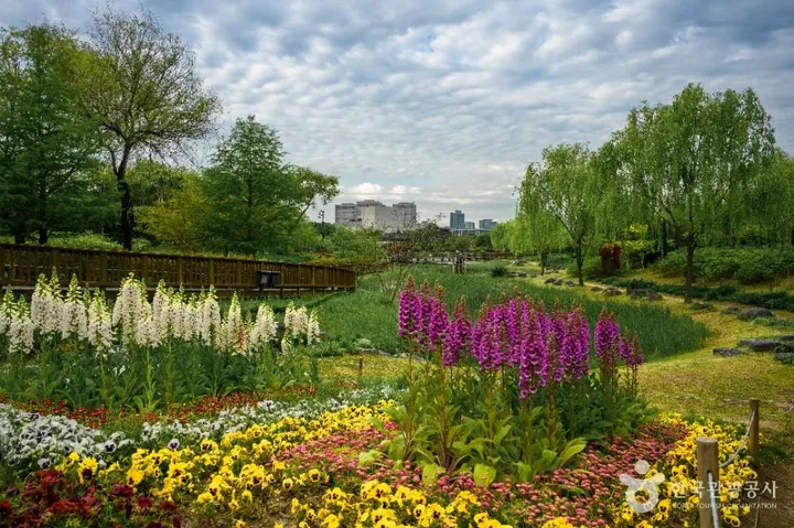 Hanbat Arboretum